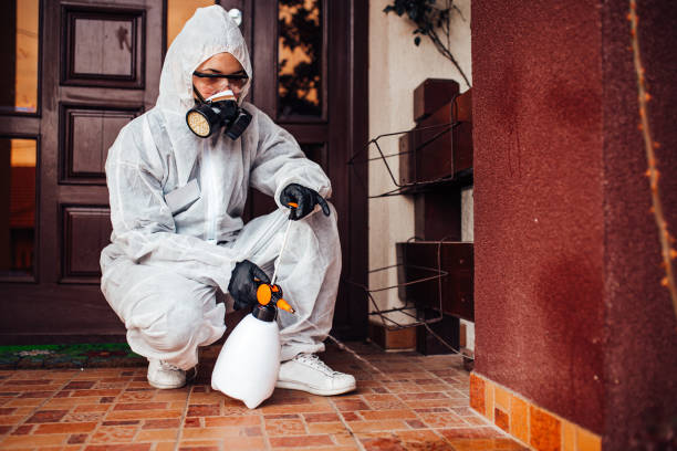 Reliable Mosquito Control contractor in Parkers Prairie, MN by Show Me Pest Control