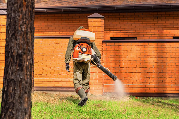 Top rated local Mosquito Control specialists in Parkers Prairie, MN